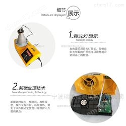 瑞德塔式轴承感应加热器  自动退磁现货正品