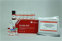 SEKM-0109小鼠单核细胞趋化蛋白2ELISA试剂盒