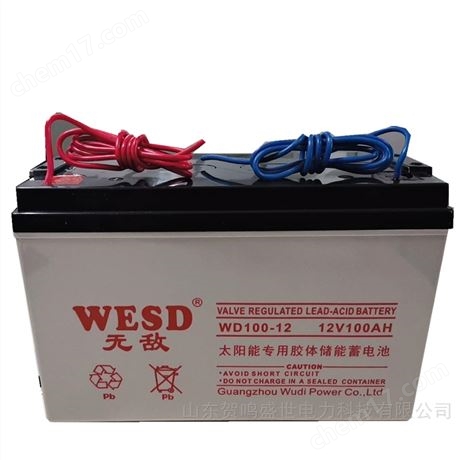WESD蓄电池WD20-12 12V20AH型号尺寸简介