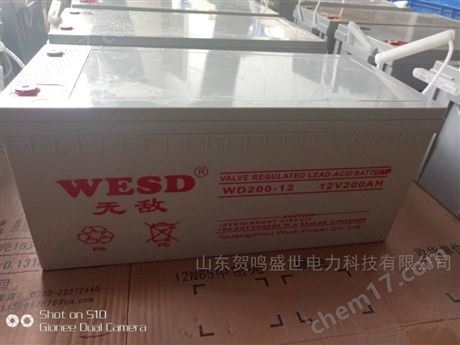 WESD蓄电池WD40-12厂家价格 广州*