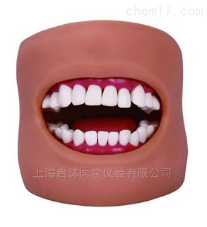 牙護理保健模型在醫學教學上的重要作用