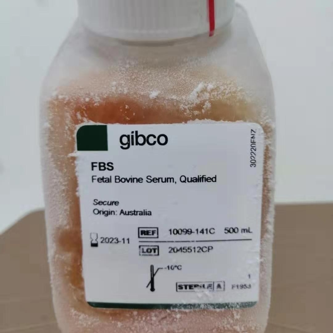 gibco胎牛血清(产地:澳洲血源 货号:10099-141)