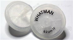 whatman Puradisc 25mm 針頭式濾器PTFE膜
