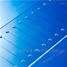 德國(guó)hilgenberg代理 4022500 實(shí)驗(yàn)室芯片
