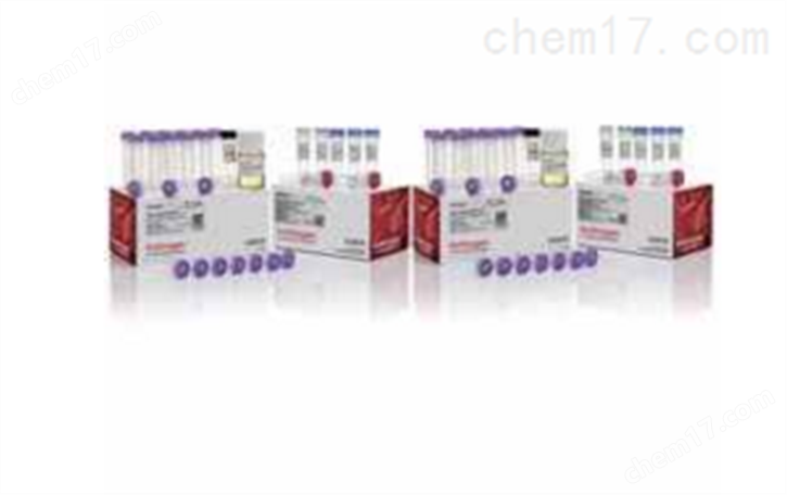 ZERO BLUNT TOPO PCR CLON KIT