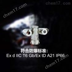 煤場用防爆型紅外熱成像監(jiān)控系統(tǒng)
