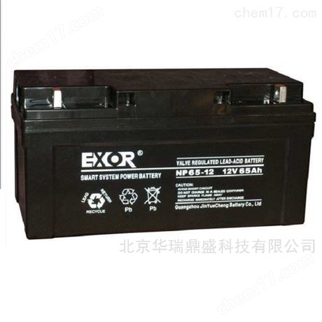 EXOR蓄电池EX65-12 储能埃索电池12V65AH